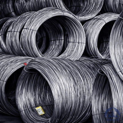 Проволока 0,3 noZn DIN 2078 купить в Костанае