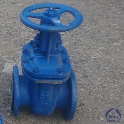 Клапан Ду 100 мм 13ТН2П купить в Костанае