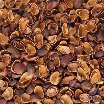 Скорлупа Кедрового Ореха (Barus Nut Shell) купить в Костанае