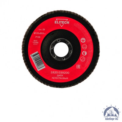 Круг лепестковый КЛТ 125х22 мм, P100, Elitech, 1820,039200 купить в Костанае