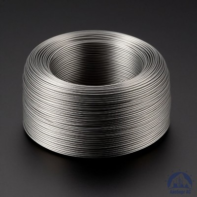 Проволока титановая 1 мм СПТ-2СВ  купить в Костанае