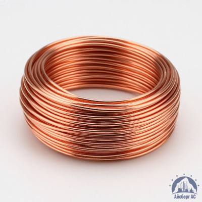 Проволока сварочная омедненная 2 мм Св08Г2С ГОСТ 2246 купить в Костанае