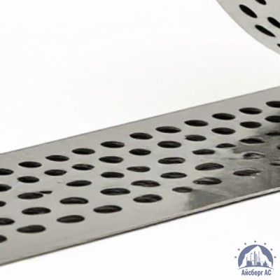 Скрепа для ленты НС-20-Т с зубьями C304 купить в Костанае