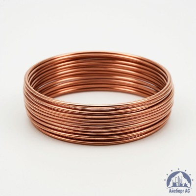 Проволока бронзовая 0.25 мм БрБ2 ГОСТ 15834-77 купить в Костанае