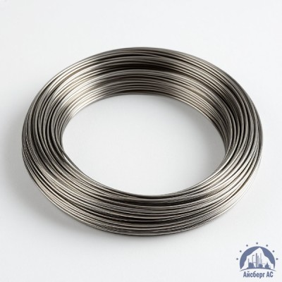 Проволока вольфрамовая 10,6 мкм ВМ купить в Костанае