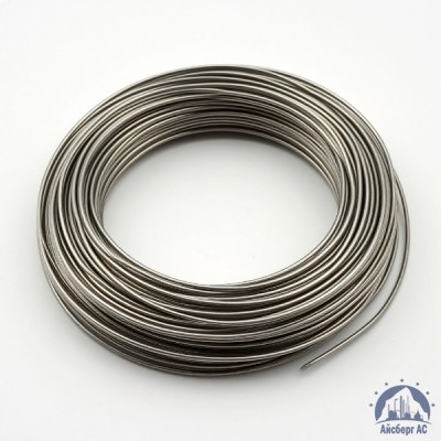 Проволока 0,03-Х20Н80-ВИ ГОСТ 8803-89 купить в Костанае