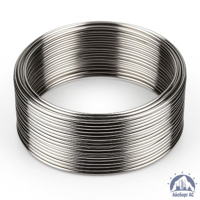 Проволока 0,4 bk DIN 2078 купить в Костанае