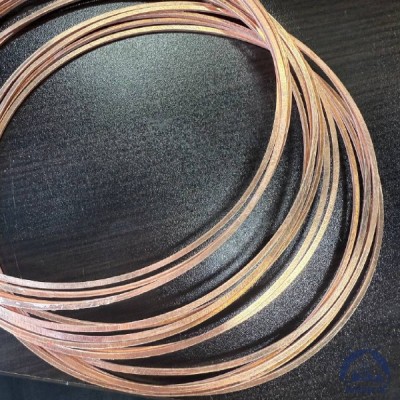 Прокладка медная уплотнительная 14х18-II s=1,5 ГОСТ 19752-84 купить в Костанае