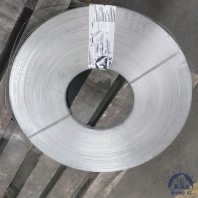 Штрипс холоднокатаный 1х137 мм МТ02 купить в Костанае