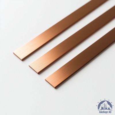 Полоса медная 100х10 мм ШМТ ГОСТ 434-78 купить в Костанае