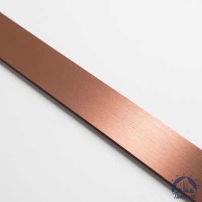 Полоса медная 100х12 мм М1Т ГОСТ 434-78 купить в Костанае