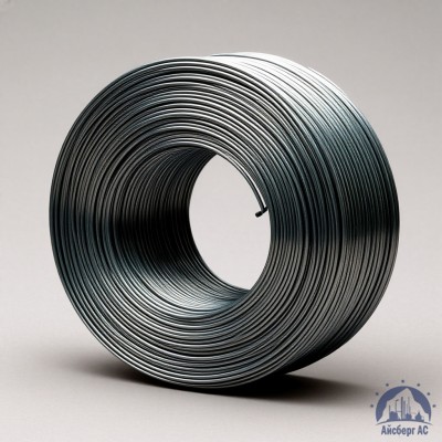 Проволока   1-П-1-35 ГОСТ 5663-79 купить в Костанае