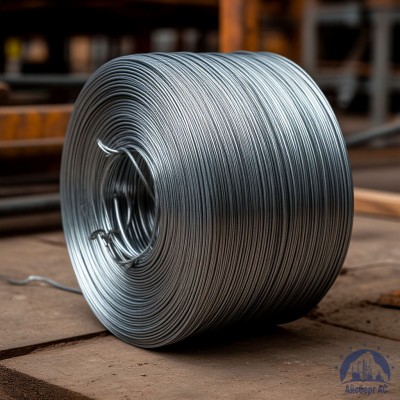 Проволока   1-П-1-45 ГОСТ 5663-79 купить в Костанае