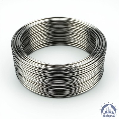 Проволока круглая 0,2-П-2-55 ГОСТ 3875-83 купить в Костанае