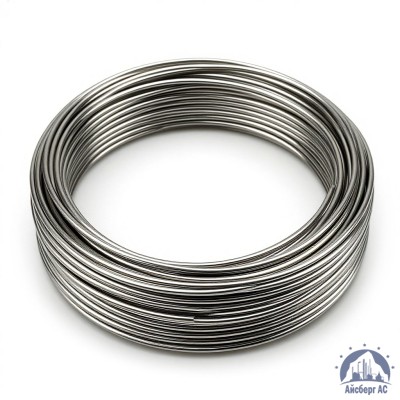 Проволока круглая 0,2-П-2-65Г ГОСТ 3875-83 купить в Костанае