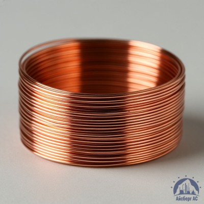 Проволока сварочная ДКРХМ 4 БТ МСр1 ГОСТ 16130-90 купить в Костанае