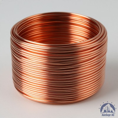 Проволока сварочная ДКРХМ 5 БТ М2 ГОСТ 16130-90 купить в Костанае