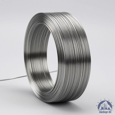 Алюминиевая сварочная проволока 4 мм АМГ6 купить в Костанае