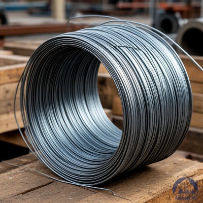 Проволока   1-1-25 ГОСТ 5663-79 купить в Костанае