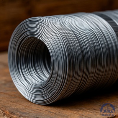 Проволока   1-2-15кп ГОСТ 5663-79 купить в Костанае