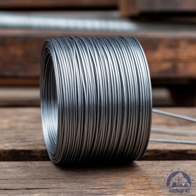 Проволока   1-2-30 ГОСТ 5663-79 купить в Костанае