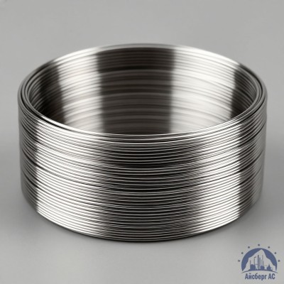 Проволока титановая 4 мм 2В купить в Костанае