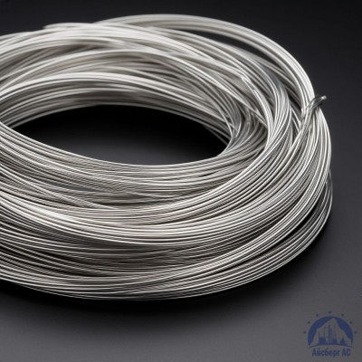 Проволока СрМ 916 купить в Костанае