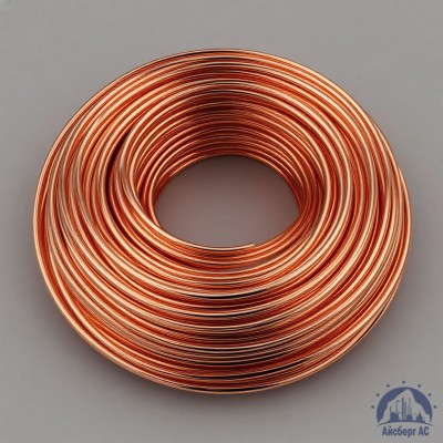 Проволока сварочная ДКРХМ 2,5 БТ МСр1 ГОСТ 16130-90 купить в Костанае