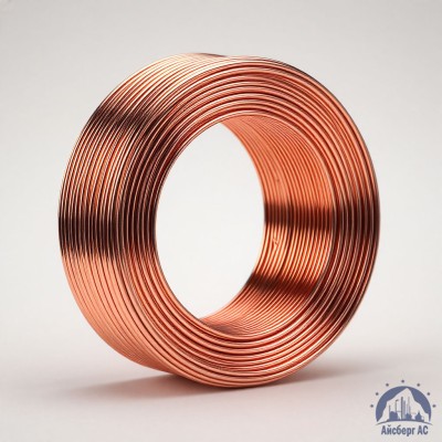 Проволока сварочная ДКРХМ 6 БТ МНЖКТ5-1-0,2-0,2 ГОСТ 16130-90 купить в Костанае