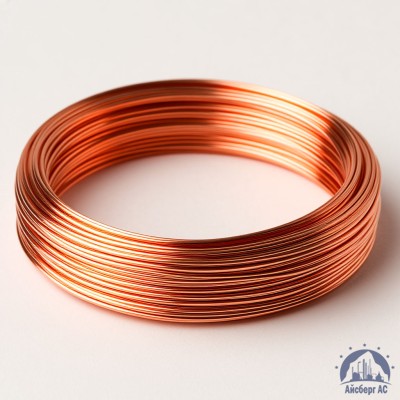 Проволока сварочная омедненная 1 мм Св08ГС ТУ 1227-017-00187240-2010 купить в Костанае