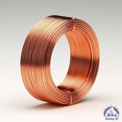 Проволока сварочная ДКРХМ 0,8 БТ МНЖКТ5-1-0,2-0,2 ГОСТ 16130-90 купить в Костанае