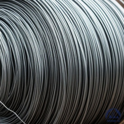 Проволока   1-П-1-20пс ГОСТ 5663-79 купить в Костанае