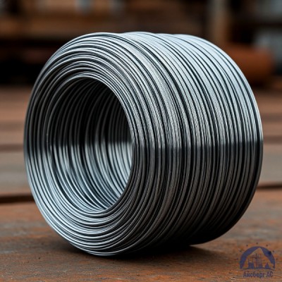 Проволока   1-П-2-10 ГОСТ 5663-79 купить в Костанае