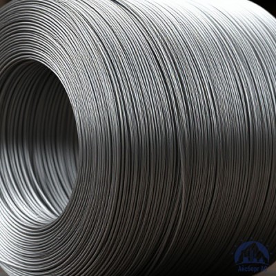 Проволока   1-П-2-45 ГОСТ 5663-79 купить в Костанае