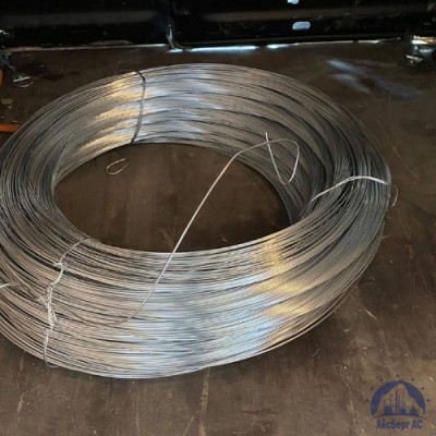 Проволока вязальная оцинкованная 0,6 мм ТН-1Ц ГОСТ 3282-74 купить в Костанае