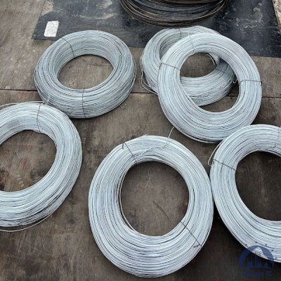 Проволока 0,3-Х15Н60 ГОСТ 8803-89 купить в Костанае