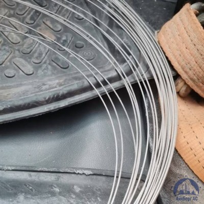 Проволока 0,3-Х20Н80-ВИ ГОСТ 8803-89 купить в Костанае