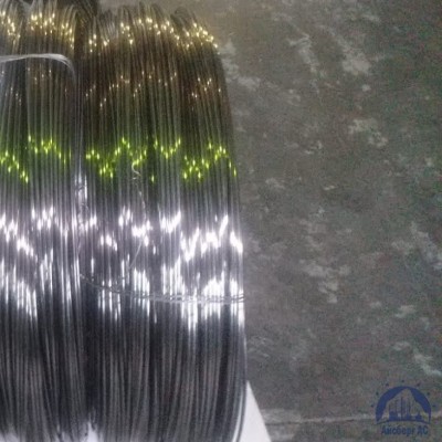 Проволока 0,34-Х15Н60 ГОСТ 8803-89 купить в Костанае