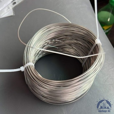 Проволока 0,25-Х15Н60 ГОСТ 8803-89 купить в Костанае