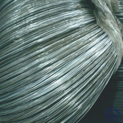 Проволока 0,2-Х20Н80-ВИ ГОСТ 8803-89 купить в Костанае