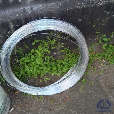 Проволока 0,25-Н80ХЮД-ВИ ГОСТ 8803-89 купить в Костанае