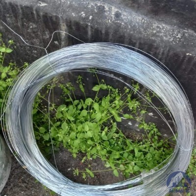 Проволока 0,34-Х20Н80-ВИ ГОСТ 8803-89 купить в Костанае