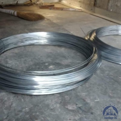 Проволока 0,3-Н80ХЮД-ВИ ГОСТ 8803-89 купить в Костанае