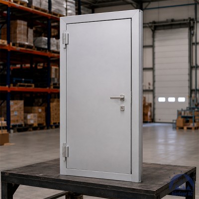 Рентгенозащитная алюминиевая дверь 1070х2080-1 мм купить в Костанае