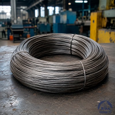 Проволока   3-П-1-10 ГОСТ 5663-79 купить в Костанае